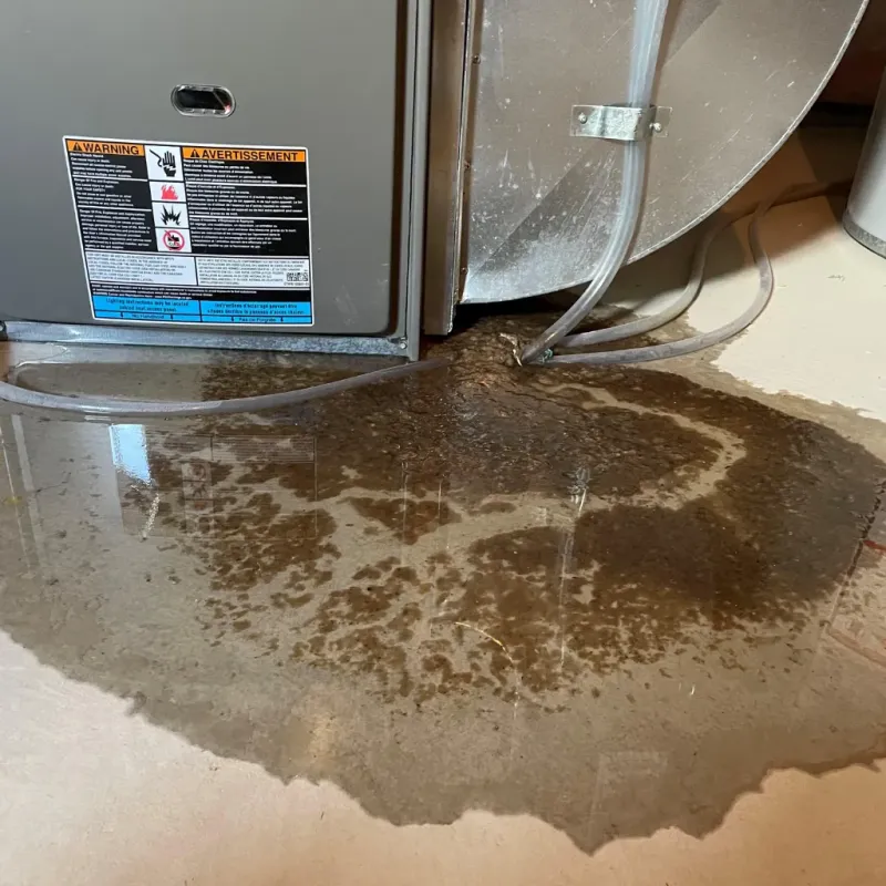 Appliance Leak Cleanup in Saint Francis, MN